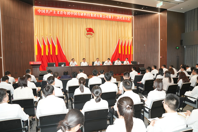 共青團(tuán)中國有研科技集團(tuán)有限公司第十三次代表大會勝利召開