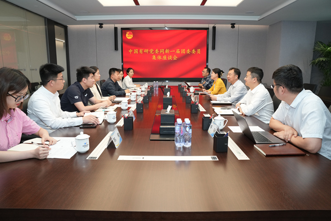 凝“新”聚力 奮楫揚帆 | 中國有研黨委同集團(tuán)新一屆團(tuán)委委員集體座談會召開