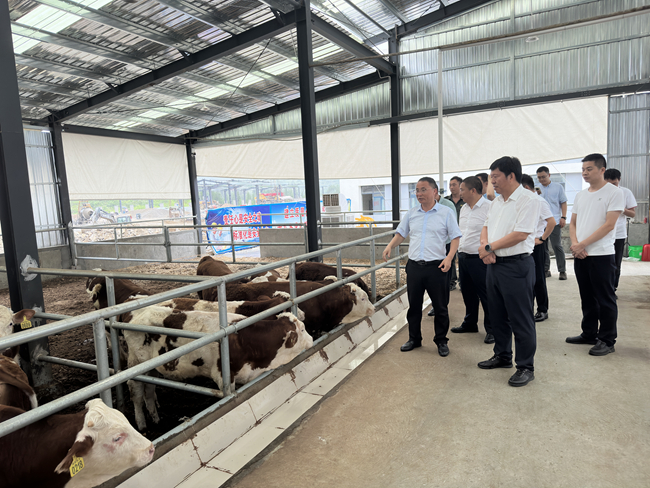 中國有研黨委班子成員赴貴州省思南縣調(diào)研督導定點幫扶工作