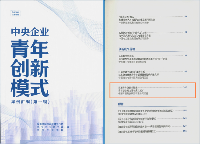 中國(guó)有研“青年基金”特色做法入選《中央企業(yè)青年創(chuàng)新模式案例匯編》