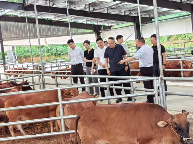 中國有研黨委委員、紀委書記唐學智赴思南縣調(diào)研定點幫扶工作并接送掛職干部