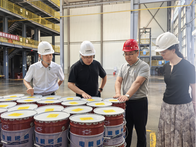 中國有研黨委委員、紀委書記唐學智到有研重冶調(diào)研